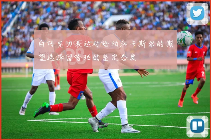 白巧克力表达对哈珀和卡斯尔的期望选择留哈珀的坚定态度