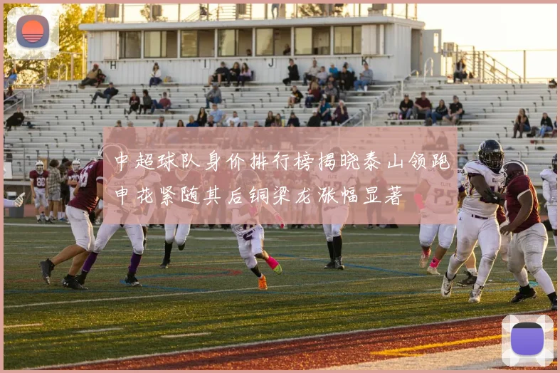 中超球队身价排行榜揭晓泰山领跑申花紧随其后铜梁龙涨幅显著